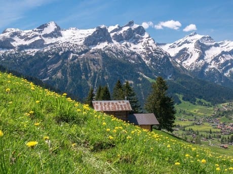 schweiz_alpen_panorama