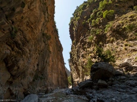 griechenland-kreta-samaria schlucht (2)