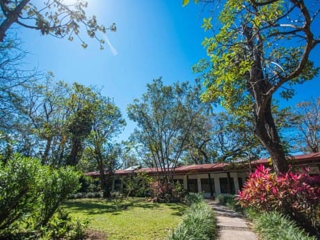 Tropischer Garten, Hacienda Guachipelin