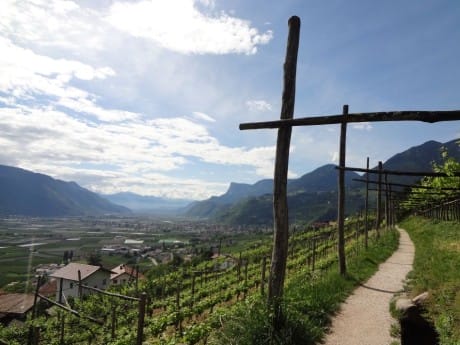 Südtirol, Weingärten
