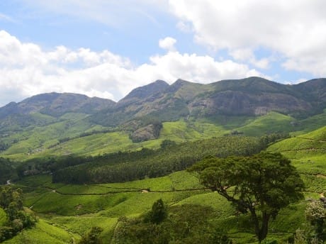 Munnar in sattem Grün