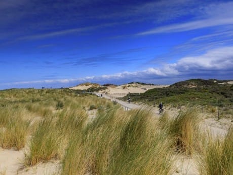 The-Hague_Radweg-durch-Duenen