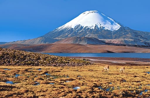 Argentinien & Chile Verlängerung 2026 Atacama Wüste