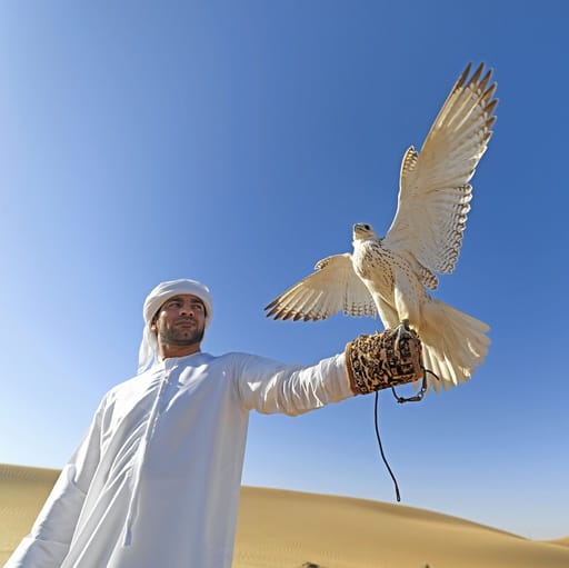 Verlängerung Abu Dhabi