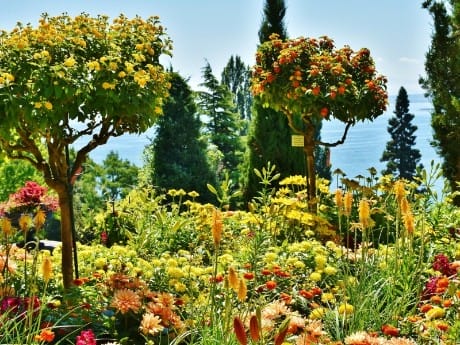 Blumeninsel Mainau, Bodensee
