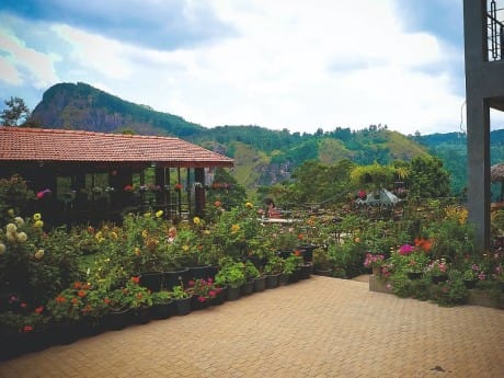Ella Flower Garten Resort, Garten