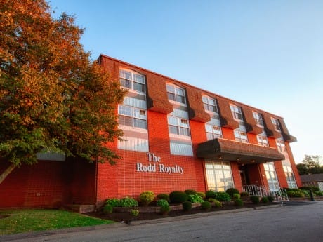 The Rodd Royalty