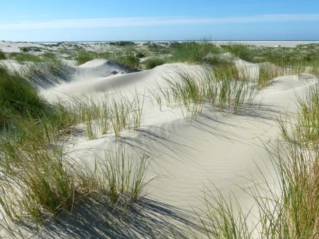 Sanddünen auf Borkum