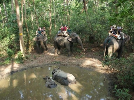 Chitwan Nationalpark
