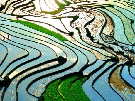 Sapa Reisfelder