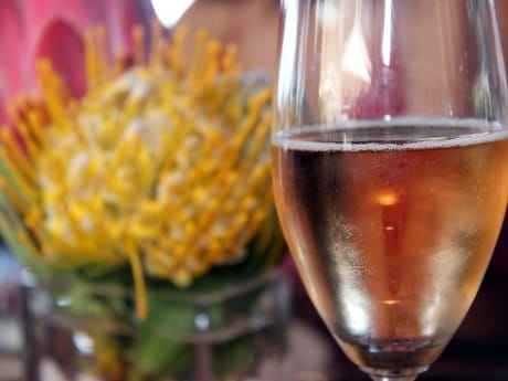 Weinverkostungen in den Winelands